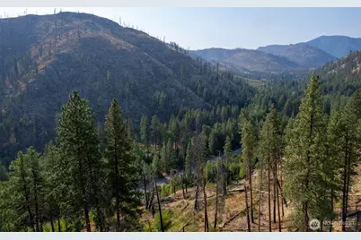 88 Tbd Gold Creek Road, Carlton, WA 98814 - Photo 24
