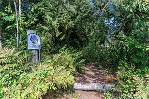 16115 243rd St E, Graham, WA 98338 - Photo 34