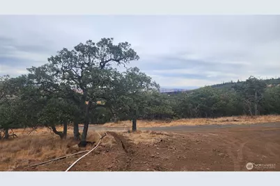 295 Oak Flatt Rd, Goldendale, WA 98620 - Photo 1