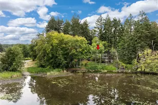 11116 Matthews Way, Anderson Island, WA 98303 - Photo 2
