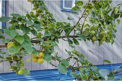 107 Guinevere Court, Castle Rock, WA 98611 - Photo 24