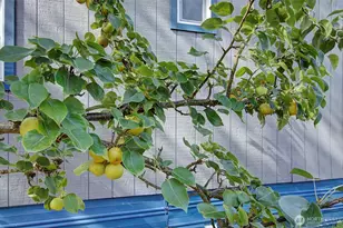 107 Guinevere Ct, Castle Rock, WA 98611 - Photo 24