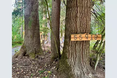 55918 317th Avenue E, Ashford, WA 98304 - Photo 24