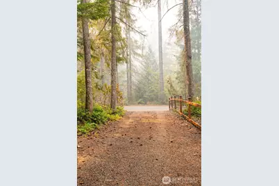 411 N Mt Seattle Way, Hoodsport, WA 98548 - Photo 20