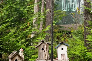 411 N Mt Seattle Way, Hoodsport, WA 98548 - Photo 30