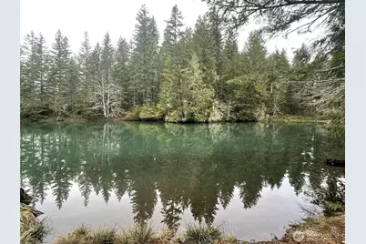 411 N Mt Seattle Way, Hoodsport, WA 98548 - Photo 36