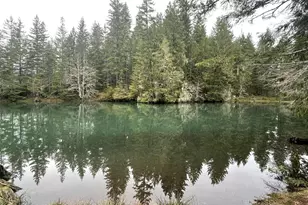 411 N Mt Seattle Way, Hoodsport, WA 98548 - Photo 36