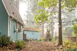 411 N Mt Seattle Way, Hoodsport, WA 98548 - Photo 24