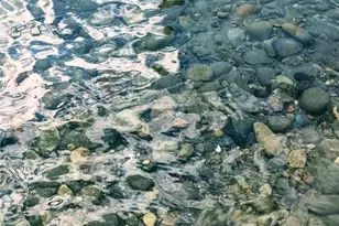 14607 Union Ave, Lakewood, WA 98498 - Photo 34