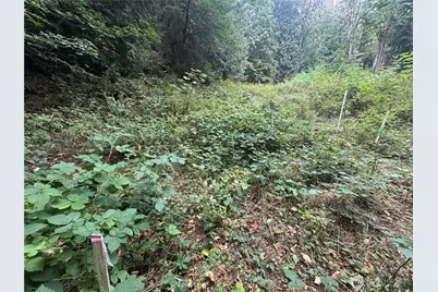 157 Xx 72nd Avenue W, Edmonds, WA 98026 - Photo 16