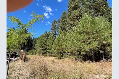 203 E Nevada Avenue, Roslyn, WA 98941 - Photo 10