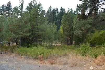 203 E Nevada Avenue, Roslyn, WA 98941 - Photo 4