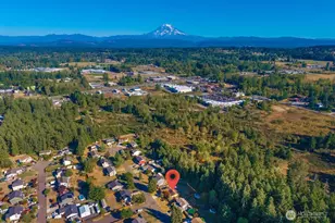 9602 219th St Ct E, Graham, WA 98338 - Photo 26