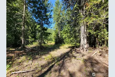 9999 Lone Ranch Rd, Danville, WA 99121 - Photo 8