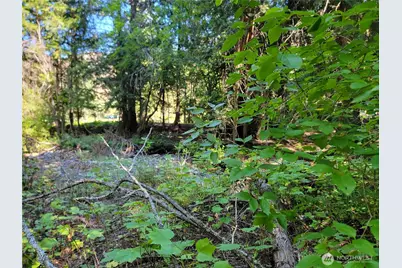 9999 Lone Ranch Rd, Danville, WA 99121 - Photo 10