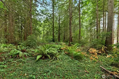 19301 Viking Avenue NW, Poulsbo, WA 98370 - Photo 12