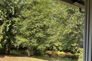 115 Maschke Rd, Vader, WA 98593 - Photo 32