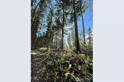 9221 SW Bank Road, Vashon, WA 98070 - Photo 8