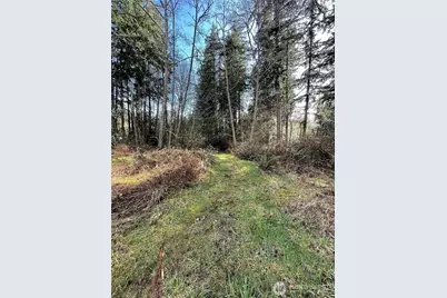 9221 SW Bank Road, Vashon, WA 98070 - Photo 6