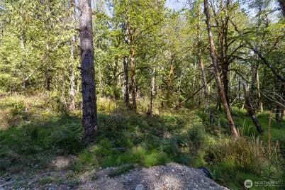 0 E Sprague Avenue, Union, WA 98592 - Photo 12