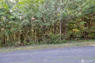 0 E Sprague Avenue, Union, WA 98592 - Photo 4