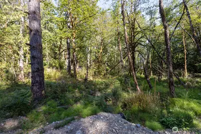 0 E Sprague Avenue, Union, WA 98592 - Photo 10