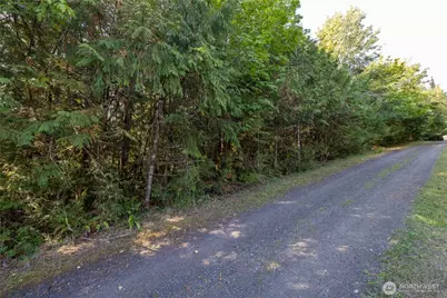 0 E Mason Avenue, Union, WA 98592 - Photo 4