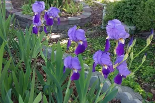 106 N Franklin Ave, Wenatchee, WA 98801 - Photo 20