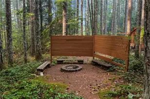 60 N Mount Rose Pl, Hoodsport, WA 98548 - Photo 28