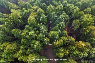 60 N Mount Rose Place, Hoodsport, WA 98548 - Photo 32