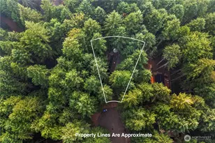 60 N Mount Rose Pl, Hoodsport, WA 98548 - Photo 32