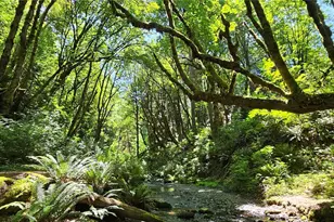 2300 Jefferson Ave NE, Renton, WA 98056 - Photo 38