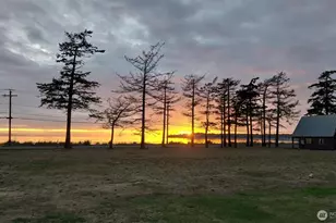 7954 Birch Bay Dr, Blaine, WA 98230 - Photo 6