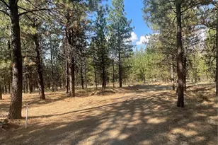 12 Caribou Rd, Tonasket, WA 98855 - Photo 2