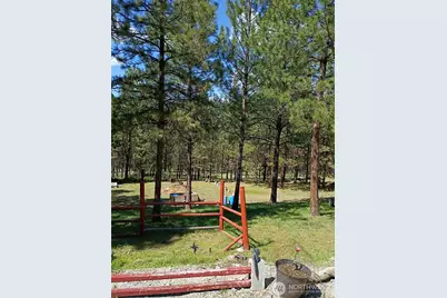 12 Caribou Road, Tonasket, WA 98855 - Photo 6