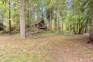 17731 Beachside Dr SE, Yelm, WA 98597 - Photo 18