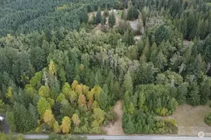 253 Kruger Rd, Onalaska, WA 98570 - Photo 18