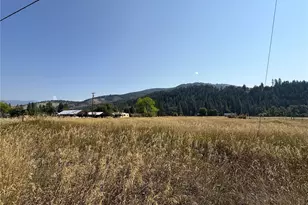 20 Race St, Danville, WA 99121 - Photo 36