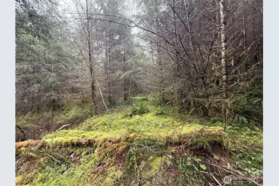0 Bunker Creek Road, Adna, WA 98522 - Photo 10