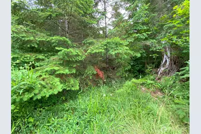 0 Bunker Creek Road, Adna, WA 98522 - Photo 4