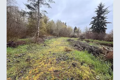 0 Bunker Creek Road, Adna, WA 98522 - Photo 4