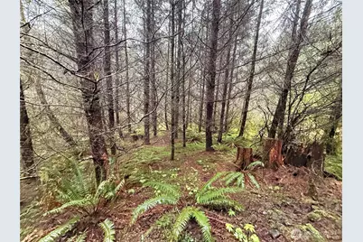 0 Bunker Creek Road, Adna, WA 98522 - Photo 12