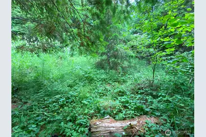 0 Bunker Creek Road, Adna, WA 98522 - Photo 6