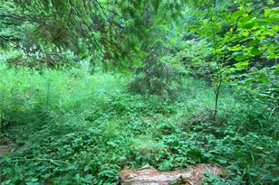 0 Bunker Creek Rd, Adna, WA 98522 - Photo 6