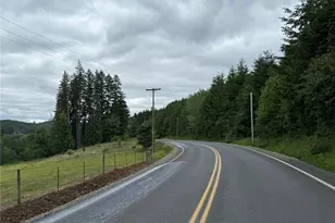 0 Bunker Creek Rd, Adna, WA 98522 - Photo 2