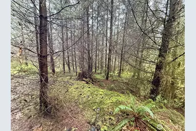 0 Bunker Creek Road, Adna, WA 98522 - Photo 14