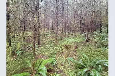 0 Bunker Creek Road, Adna, WA 98522 - Photo 6