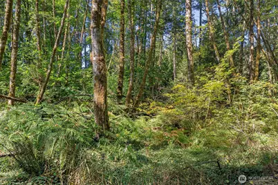 119 River Heights Road, Centralia, WA 98531 - Photo 38