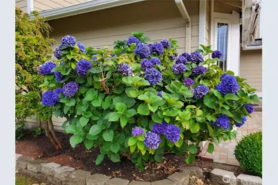 17217 Larch Way, Lynnwood, WA 98037 - Photo 40