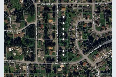 0 Olympic Drive (Lot 106), Oak Harbor, WA 98277 - Photo 4